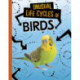 Unusual Life Cycles of Birds