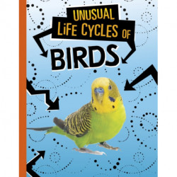 Unusual Life Cycles of Birds