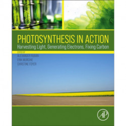 Photosynthesis in Action: Harvesting Light, Generating Electrons, Fixing Carbon