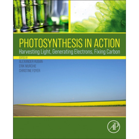 Photosynthesis in Action: Harvesting Light, Generating Electrons, Fixing Carbon