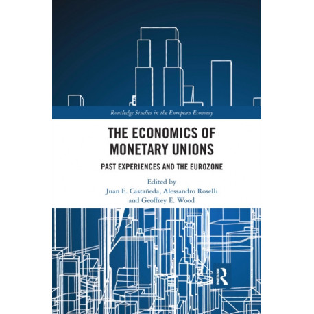 The Economics of Monetary Unions: Past Experiences and the Eurozone