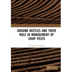 Ground Beetles and Their Role in Management of Crop Pests