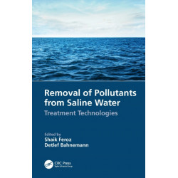 Removal of Pollutants from Saline Water: Treatment Technologies