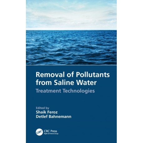 Removal of Pollutants from Saline Water: Treatment Technologies