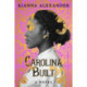Carolina Built: A Novel