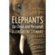 Elephants: Up Close and Personal