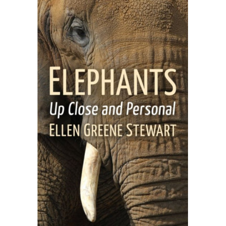 Elephants: Up Close and Personal
