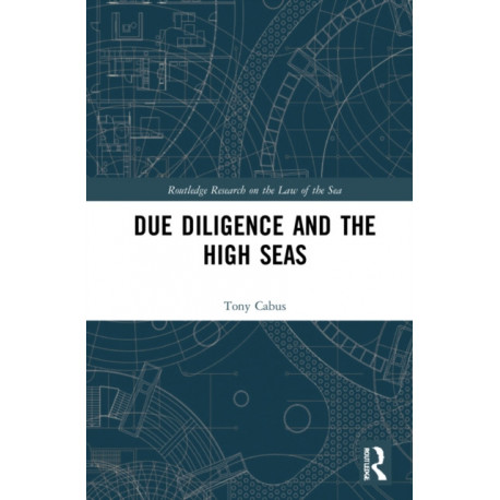 Due Diligence and the High Seas