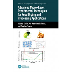 Advanced Micro-Level Experimental Techniques for Food Drying and Processing Applications