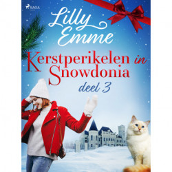 Kerstperikelen in Snowdonia – deel 3