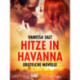 Hitze in Havanna - Erotische Novelle