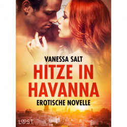 Hitze in Havanna - Erotische Novelle