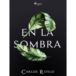 En la sombra