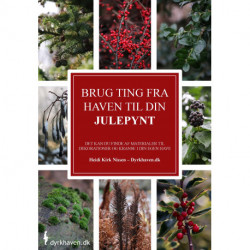 Brug ting fra haven til din julepynt: - Det kan du finde af materialer til dekorationer og kranse i din egen have