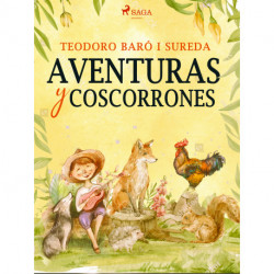 Aventuras y coscorrones