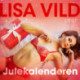 Julekalenderen - erotisk novelle