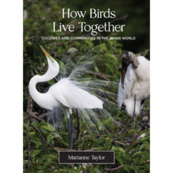 How Birds Live Together: Colonies and Communities in the Avian World