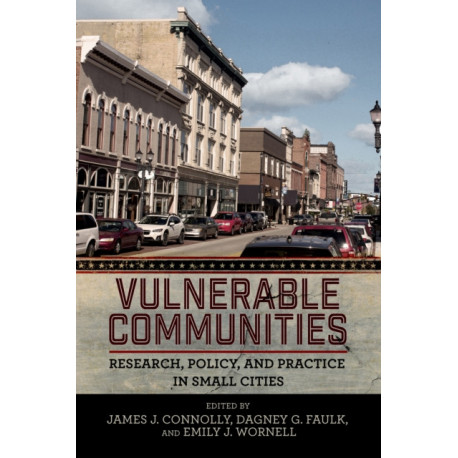 Vulnerable Communities: Research, Policy, and Practice in Small Cities