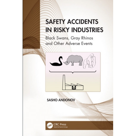 Safety Accidents in Risky Industries: Black Swans, Gray Rhinos and Other Adverse Events