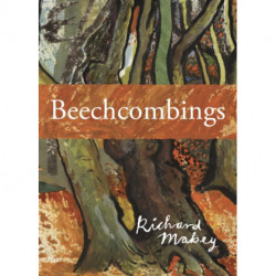 Beechcombings