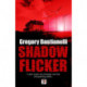 Shadow Flicker