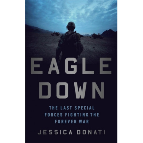 Eagle Down: American Special Forces at the End of Afghanistan's War