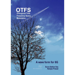 Orthogonal Time Frequency Space Modulation: OTFS a waveform for 6G