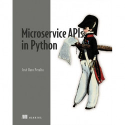 Microservice APIs in Python
