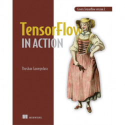 TensorFlow 2.0 in Action