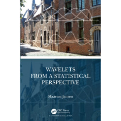 Wavelets from a Statistical Perspective