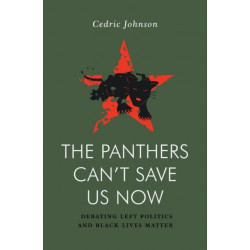 The Panthers Can't Save Us Now: Debating Left Politics and Black Lives Matter