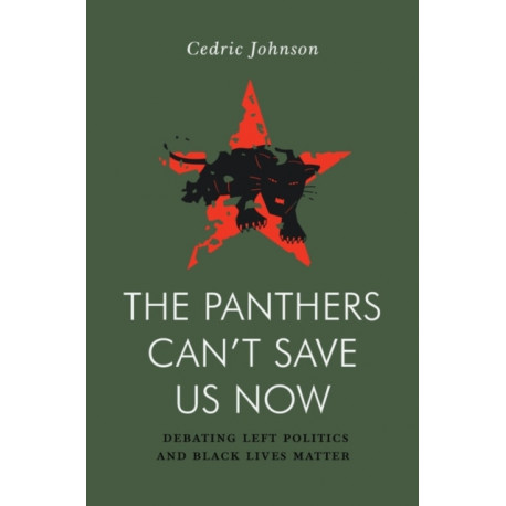 The Panthers Can't Save Us Now: Debating Left Politics and Black Lives Matter