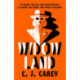 Widowland: Chilling dystopian thriller for fans of Margaret Atwood