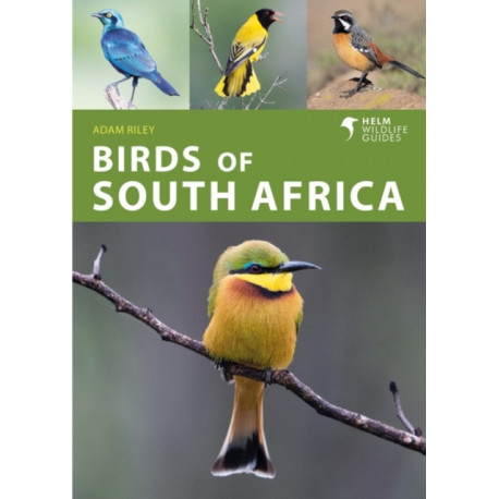 Birds of South Africa