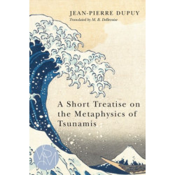 A Short Treatise on the Metaphysics of Tsunamis