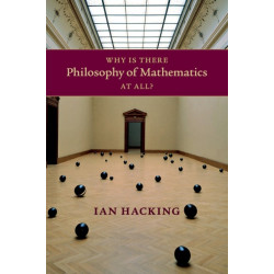 Why Is There Philosophy of Mathematics At All?