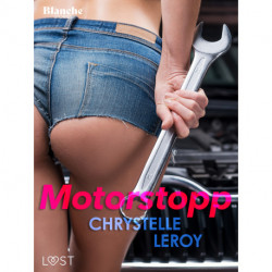Motorstopp - erotisk novell