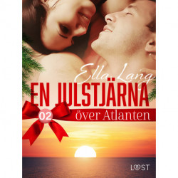 En julstjärna över Atlanten del 2 - erotisk adventskalender