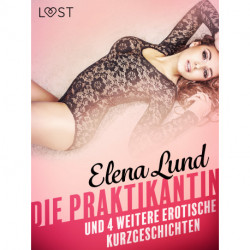 tDie Praktikantin und 4 weitere erotische Kurzgeschichten