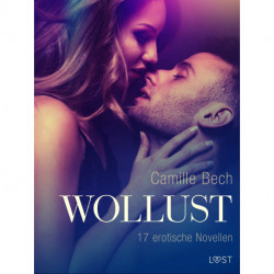 Wollust - 17 erotische Novellen