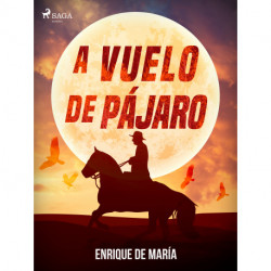 A vuelo de pájaro