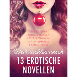 Weihnachtswunsch - 13 erotische Novellen