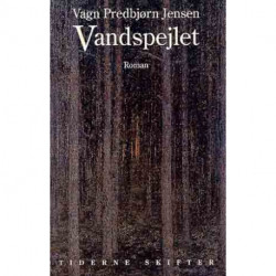 Vandspejlet: roman