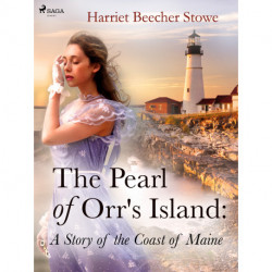 The Pearl of Orr's Island: A Story of the Coast of Maine