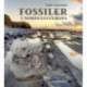 Fossiler i Nordvesteuropa