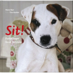 Sit!: Fortællinger fra et hundeliv