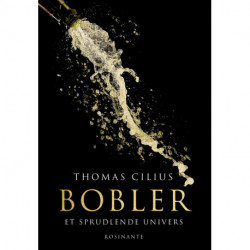 Bobler: Et brusende univers