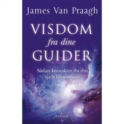 Visdom fra dine guider: Sådan kontakter du din sjæls læremestre