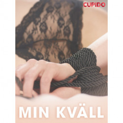 Min kväll - erotiska noveller