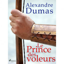 Le Prince des voleurs